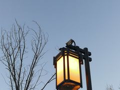 -迎泽公园