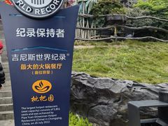 -枇杷园食为鲜火锅(南山店)