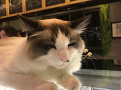 -咖法森林·咖啡  酒吧(天河店)