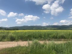 -乌兰布统草原