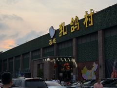 -石岐乳鸽村(南海第三分店)