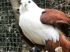 -费瑟代尔野生动物园