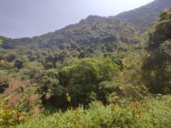 -梧桐山风景名胜区