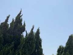 -盐城丹顶鹤湿地生态旅游区