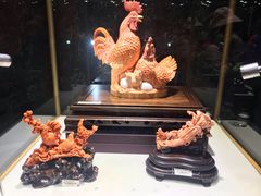 -东海珊瑚博物馆