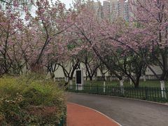 -西安市长乐公园