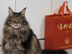 -泸溪河桃酥(江宁太阳城店)