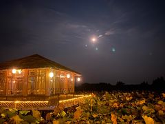 -军山湖云水间生态农业旅游景区