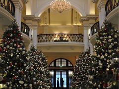 -Salon de Ville浦江汇(上海外滩华尔道夫酒店店)