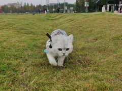 -国际非物质文化遗产博览园