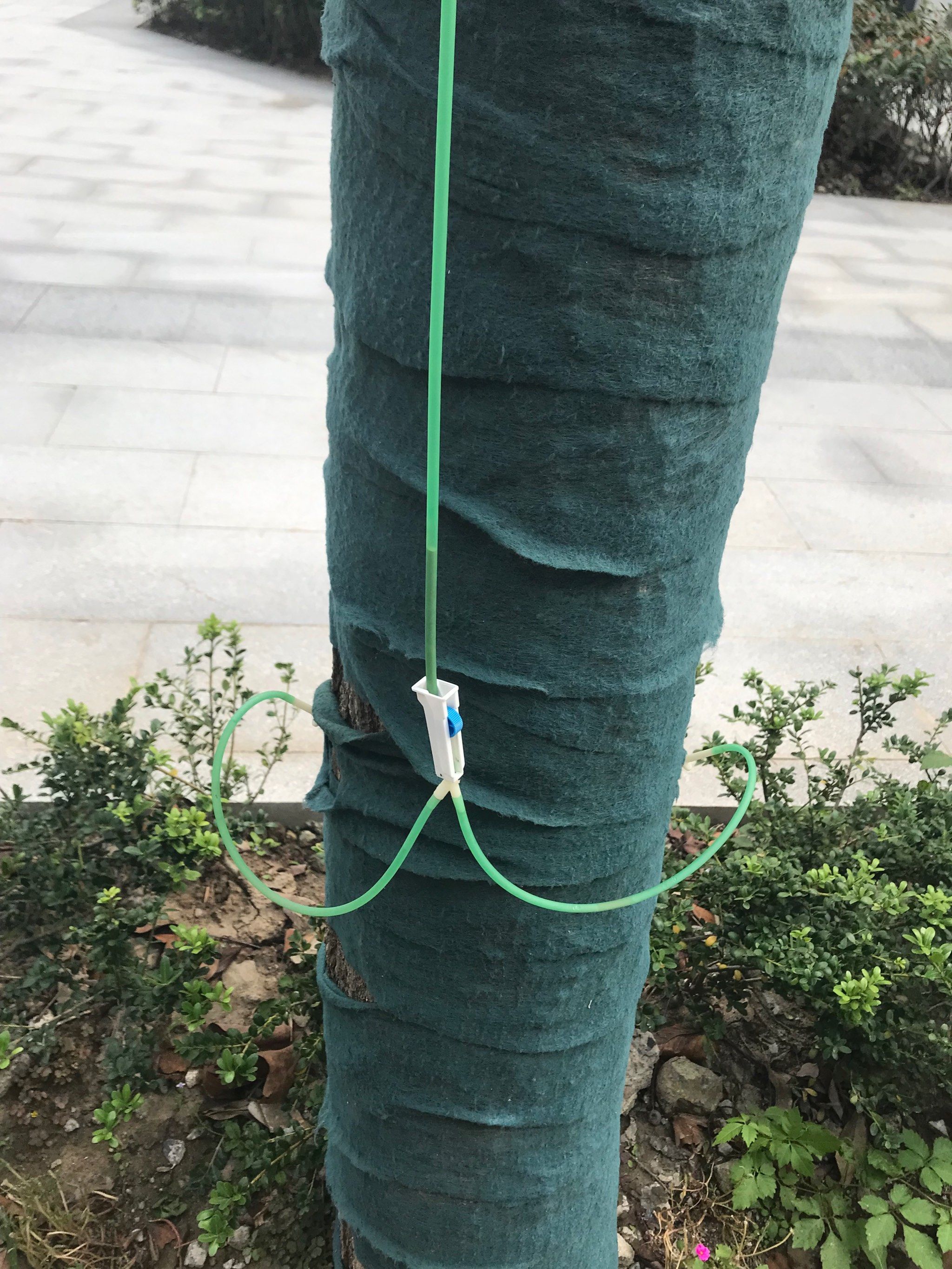 给树点滴