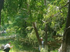 -长白岛森林公园