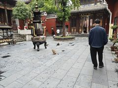 -长春观