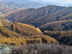 -苏木山森林公园