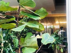 大堂-大树餐厅(红旗街万达店)