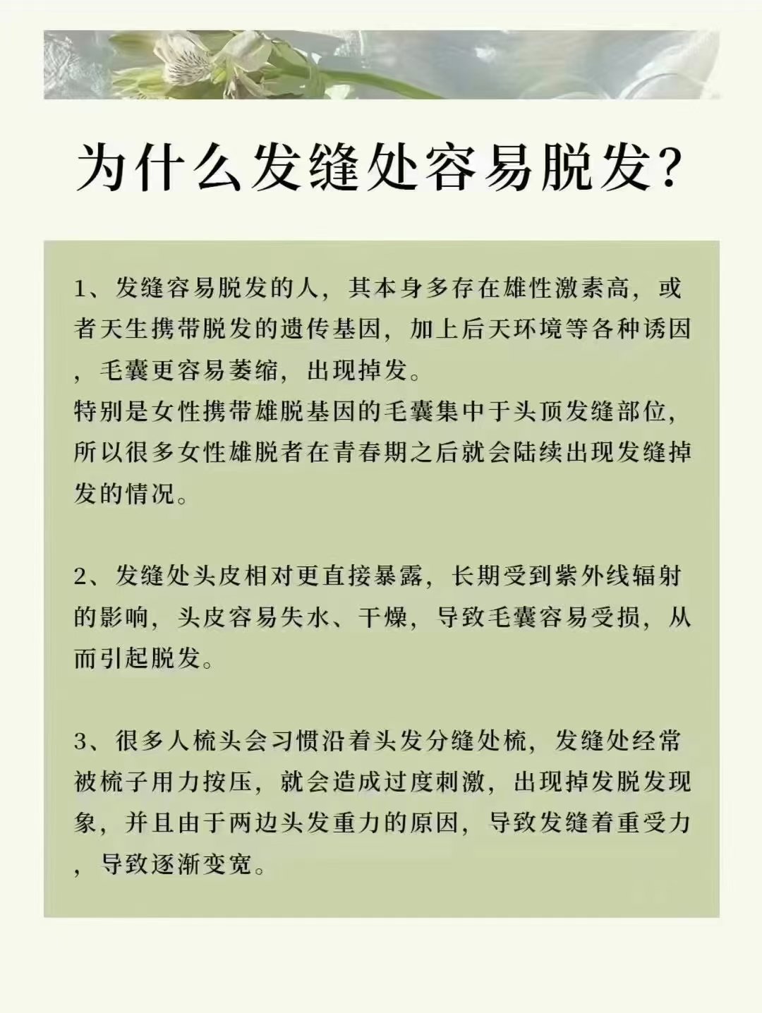 头发分缝的几种分法图片