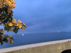 -观海轩餐厅(一线海景店)