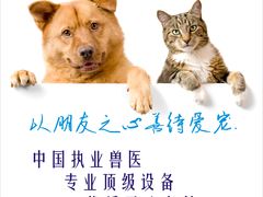 -爱贝特动物医院·猫口炎专科