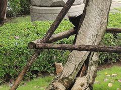 -厦门园林博览苑