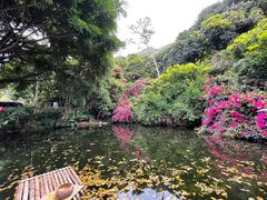 景点-青青世界