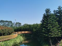 -迪茵湖田家舍生态农场