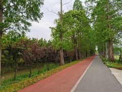 -上海长兴岛郊野公园