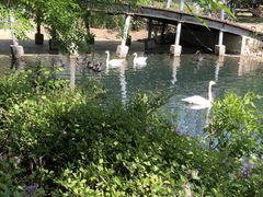 -长白岛森林公园