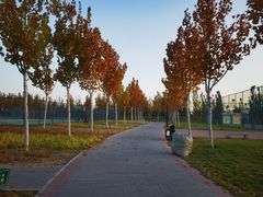 -瀛海足球主题公园