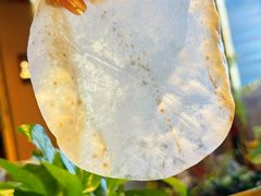 -宏宴·新京菜(望京店)