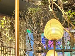 -桂满陇·海市蜃楼·黑金(国金店)