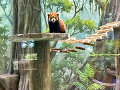 -海合安成都极地海洋公园