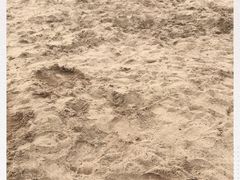 -上海月湖雕塑公园