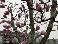 -杭州湖滨银泰in77