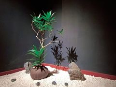 -江左尚白日本料理(万象城店)