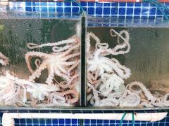 水产区-蟹谢蒸鲜自助餐厅