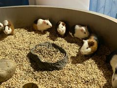 -常州海昌海洋探索馆