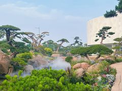 -罗红摄影艺术馆