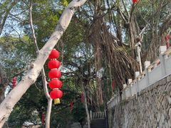 -船政文化景区-罗星塔公园