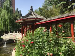 -咖啡CHA自助餐厅(香格里拉饭店)