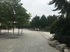 -古城公园