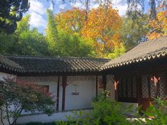 -秋霞圃