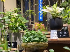 -弗劳尔花艺坊(龙涛店)