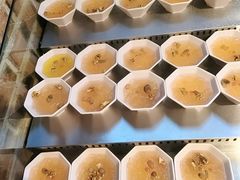 -成老灶火锅鸡(平山店)
