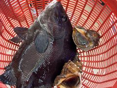 -鑫鸿达·海鲜闽菜热炒小馆(中山路店)