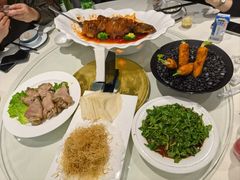 -丁老爷子苏香圆