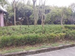 -山湖温泉