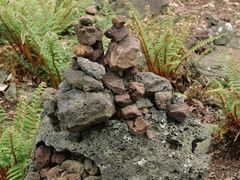 -汉拿树木园