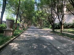 -棕榈泉国际花园1期