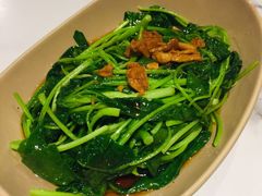 -MR鹅外