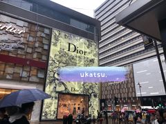-富豪雪糕车流动点(尖沙咀店)